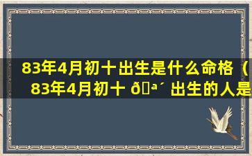 83年4月初十出生是什么命格（83年4月初十 🪴 出生的人是什么星座）